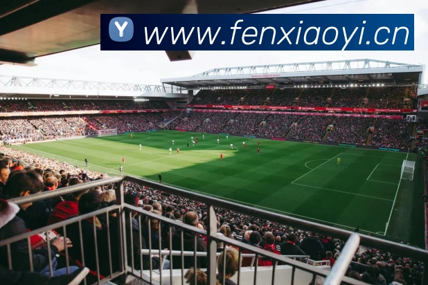 巅峰国际app登录入口发展历程